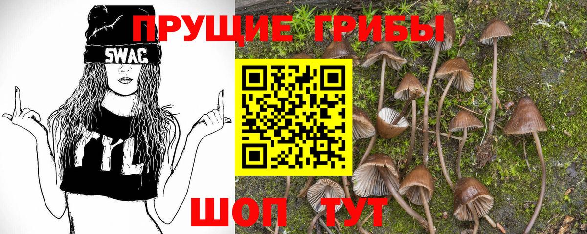Псилоцибиновые грибы прущие грибы Ленинск-Кузнецкий
